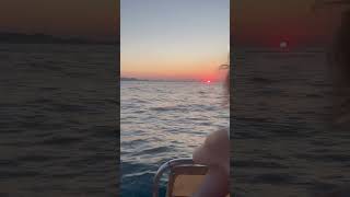 Zadar sunset 🌅 travelvlog [upl. by Elatsyrc]