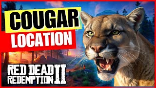 Cougar Location RDR2 Online [upl. by Oniskey]