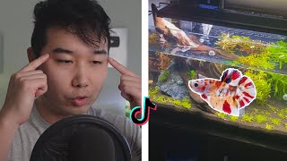 TikTok Fish Tanks BUT ITS GOOD  Fish Tank Review 233 [upl. by Valdes]