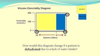 Using VolumeOsmolality Diagrams to Understand Body Fluid Status [upl. by Ahsen]