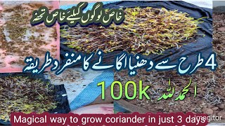 Magical Way to Grow Coriander in just 3 daysEasiest method to grow coriander at home in April month [upl. by Annirtak399]