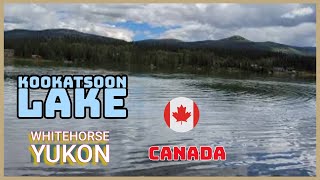 Whitehorse 🐎🐎 Yukon Canada [upl. by Cinimmod]