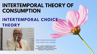 Intertemporal Theory of Consumption  Intertemporal Choice Theory [upl. by Xila]