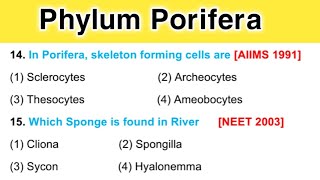 Phylum Porifera  Phylum Porifera bsc 1st Year Animal Kingdom MCQ [upl. by Harriette]