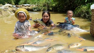 Encounter a huge school of fish  catch fish and trap fish to sell  buy clothes  milk for children [upl. by Darn]