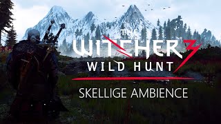 Witcher 3  Skellige  Ambience amp Relaxing Music  Meditate like a Witcher [upl. by Papotto]