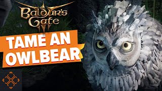 Baldurs Gate 3 How To Get The Owlbear Cub [upl. by Bethezel]