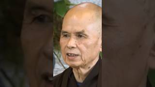 The Teaching Of Interbeing 🧘‍♂️ Thich Nhat Hanh shorts trending love motivation fyp foryou [upl. by Chemarin]