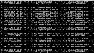 tcpdump Introduction [upl. by Eijneb857]