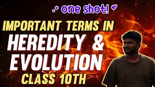 HEREDITY AND EVOLUTION IN 30 MINUTES 🔥 • CLASS 10TH ONE SHOT [upl. by Nylrats]