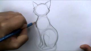 How to draw a basic cat sitting [upl. by Waldner]