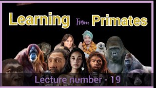 Learning from primates Primates bsc hons anthropology biological anthropology [upl. by Rosena]