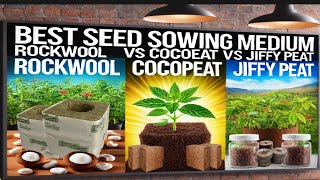 Hydroponics Training  Episode 24 Best Seed Sowing Medium for Hydroponics amp Soil Farming Training [upl. by Vogele]