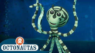 Octonautas  🐙 O PolvoMímico a Seu Dispor 🐙  2ª Temporada  Melhores Partes [upl. by Hurty844]