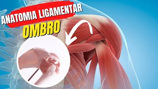 OMBRO LIGAMENTOS [upl. by Nanyk]