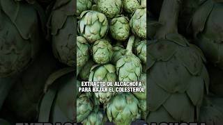 Extracto de alcachofa para bajar el colesterol  receta y Tip natural para mejorar salud y corazón [upl. by Schwejda]