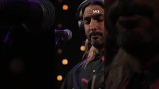 Feist Live on KEXP — OUT NOW [upl. by Leidag863]