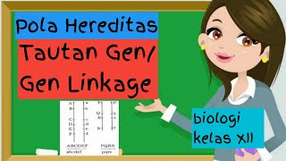 Materi Biologi Tautan Gen Kelas 12  Bab Pola Hereditas [upl. by Erdnaed903]