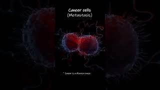 Cancer cell metastasis Animation [upl. by Giff]