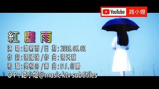 魏新雨  紅塵雨  DJ二版  1080PKTV [upl. by Lole]