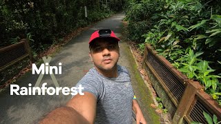 Bukit Timah Nature Reserve [upl. by Eyeleen]