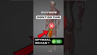 🤫 The Rehab Secrets Physios Don’t Teach But Should mobility [upl. by Nitfa516]