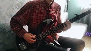 Viagra Boys  Sports Bass cover [upl. by Phillane]