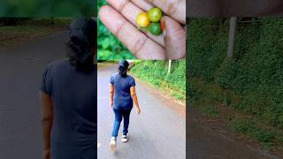 காரக்காய் பழம் என நினைச்சு ஆசையாய் பறிக்க போனேன் 😒  village fruit tamil [upl. by Meehyrb]