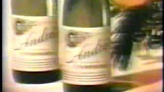 TV COMMERCIAL ANDRE CHAMPAGNE TV COMMERCIAL 1970s  80s [upl. by Oca]