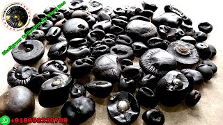 Shaligram  types of shaligram stone [upl. by Laundes]