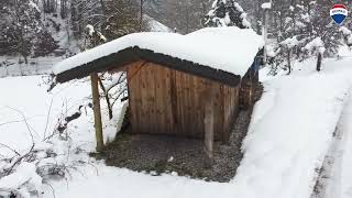 Einfamilienhaus mit Saunahütte in Alleinlage in Waldhausen im Strudengau [upl. by Kristyn822]