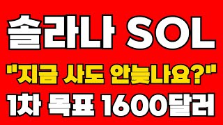 솔라나 SOL 긴급속보 quot지금 사도 안늦나요quot 1차 목표가 1600달러 [upl. by Fuhrman]