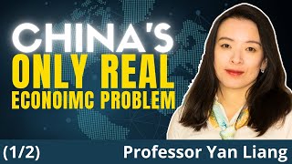 Chinas BIGGEST Debt Problem Is Local MMT Explains Why  Prof Yan Liang [upl. by Alisia497]