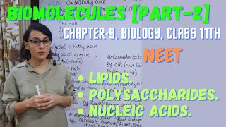 Biomolecules Part2  Lipids  Polysaccharides  Nucleic Acids [upl. by Afesoj]