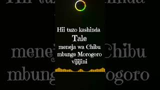 Dulla Makabila Tuzo Lyrics music losinggame skyclassicmedia [upl. by Capps]