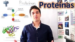 Proteínas y Aminoácidos UN MES DE CLASES EN 10 MINUTOS [upl. by Afas]