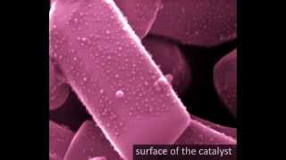 Catalyst for Water Splitting Hydrogen Gas derived from Water  Made by Laser Ablation in Pure Water [upl. by Nryhtak]