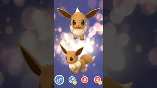 Discover the Seven Amazing Eevee Evolutions in Pokémon GO [upl. by Taima602]