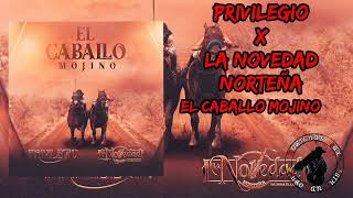 Privilegio x La Novedad Norteña 🌵 El Caballo mojino 🎷2024 [upl. by Tomkiel]