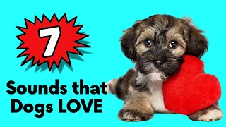 7 Sounds that Dogs Love ❤️ Dog Sound [upl. by Lear]