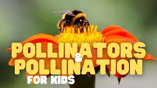 Pollinators and Pollination for Kids  Fun facts about pollination and whos responsible [upl. by Zacks]