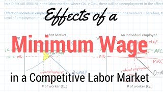 Minimum Wages in Competitive Labor Markets [upl. by Pillyhp]