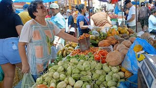 Feira livre em São Benedito Ceará e tem mais uma um ponto de comércio para alugar dia 161124 [upl. by Cailean792]