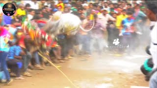 Giddampatti Eruthukattu mass  Krishnagiri Jallikattu Lover  Krishnagiri Eruthukattu Jallikattu [upl. by Lynch786]