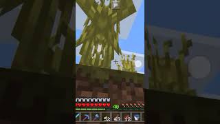 bro what happend to my minecraft [upl. by Amjan]