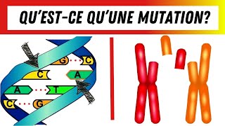 Quest ce quune mutation Définition et explications [upl. by Divad]