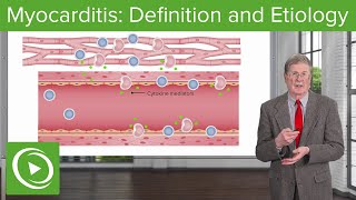 What is Myocarditis and What Causes It [upl. by Hartzell]