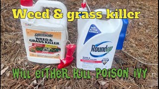 Product review Spectracide or Roundup Will either kill poison ivy [upl. by Atsillac259]