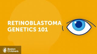 Retinoblastoma Genetics 101  Boston Children’s Hospital [upl. by Pierrepont657]