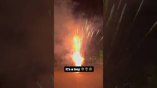 Boy or girl gender reveal 25s firework cakeboy version boy genderreveal cake pyrolove [upl. by Bullock162]